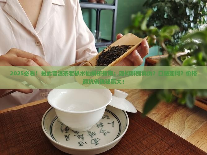 易武普洱茶老枞水仙