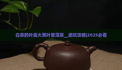 白茶的叶底大黑叶普洱茶