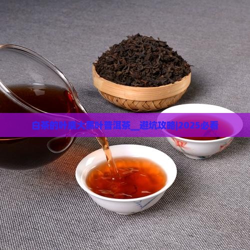 白茶的叶底大黑叶普洱茶
