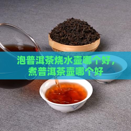 泡普洱茶烧水壶哪个品牌好
