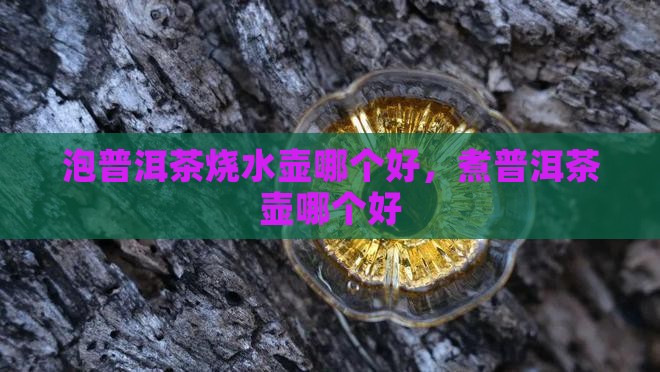 泡普洱茶烧水壶哪个品牌好