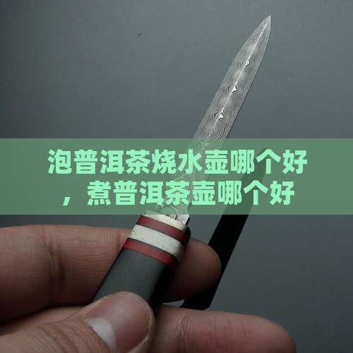 泡普洱茶烧水壶哪个品牌好