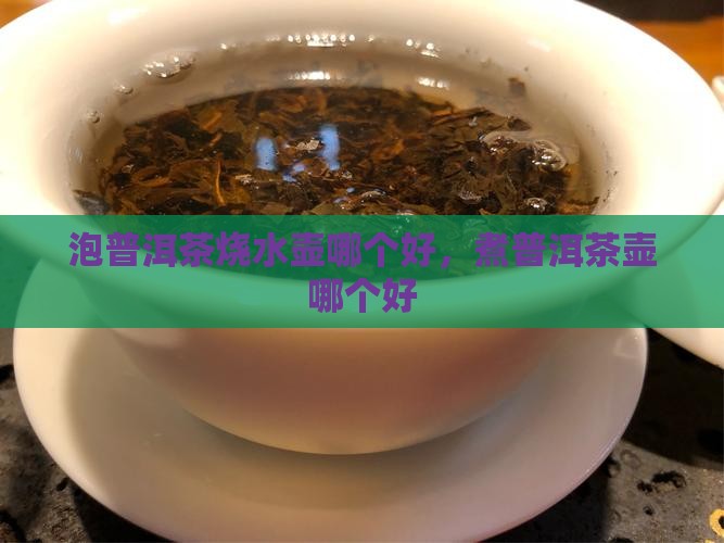 泡普洱茶烧水壶哪个品牌好