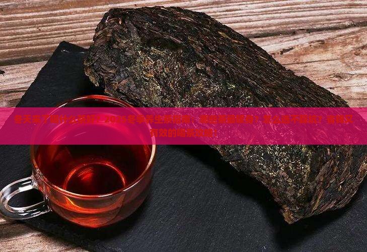 冬天来了喝什么茶好