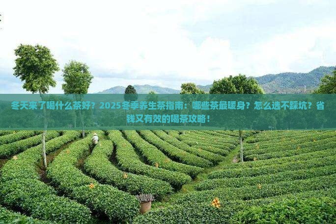 冬天来了喝什么茶好