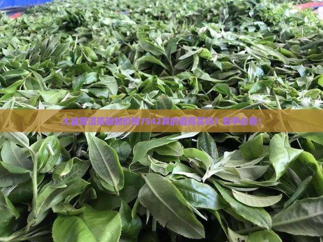大益普洱茶最新价格7542