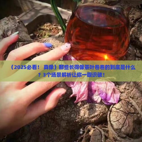 长得像茶叶卷卷的
