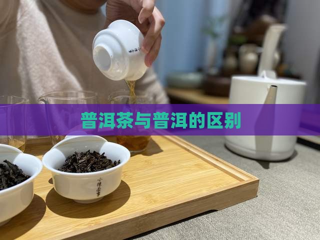普洱茶和其它茶区别