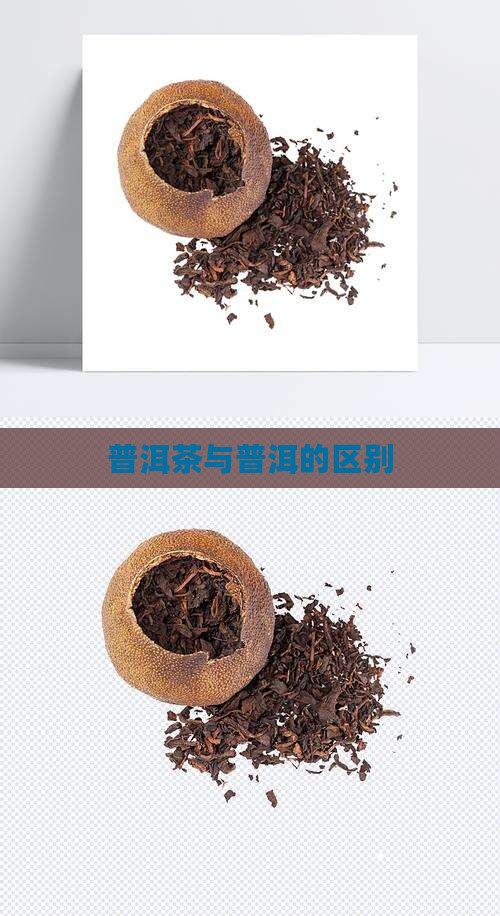 普洱茶和其它茶区别