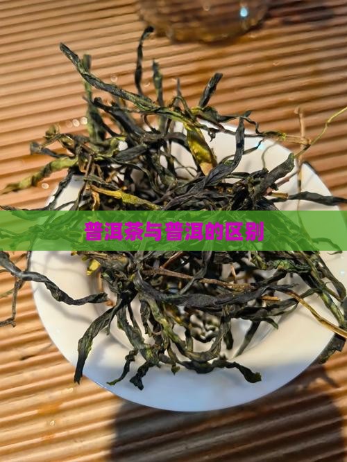 普洱茶和其它茶区别