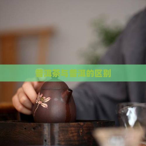 普洱茶和其它茶区别