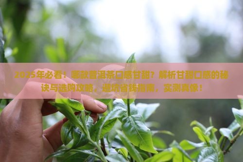 哪款普洱茶口感甘甜