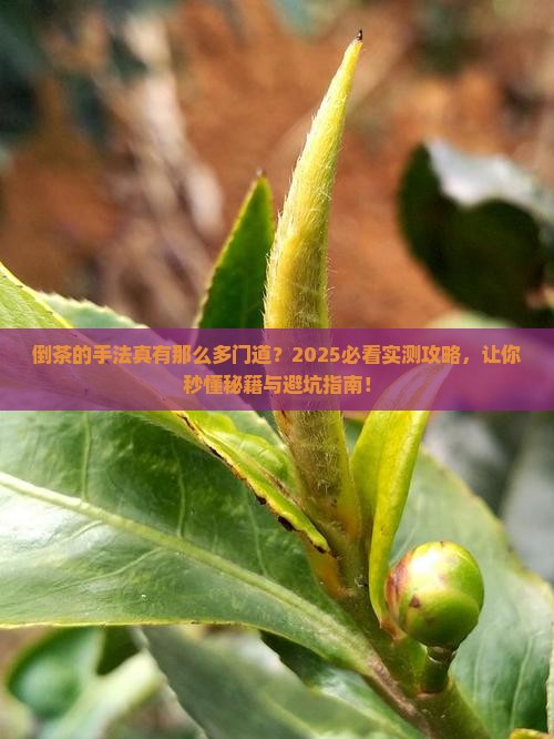 倒茶的手法有哪些