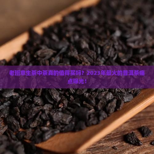老班章生茶中茶