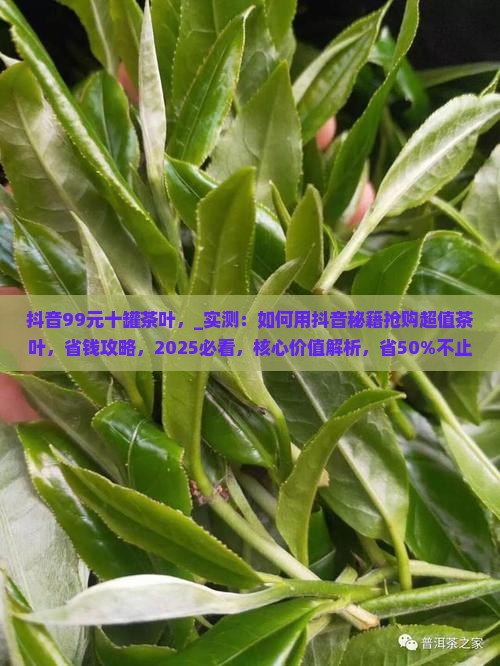 抖音99元十罐茶叶