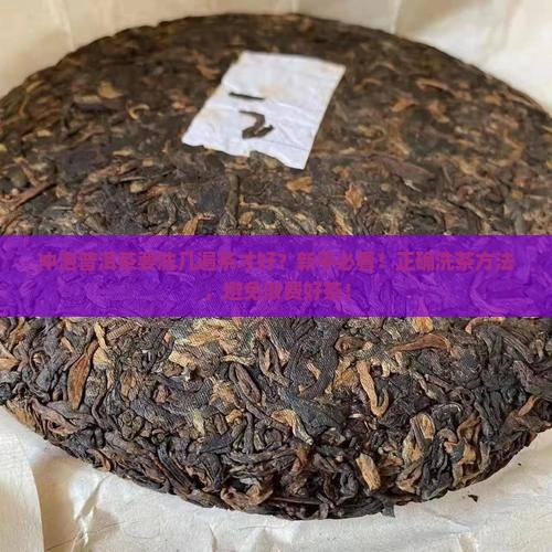 冲泡普洱茶要洗几遍茶才好
