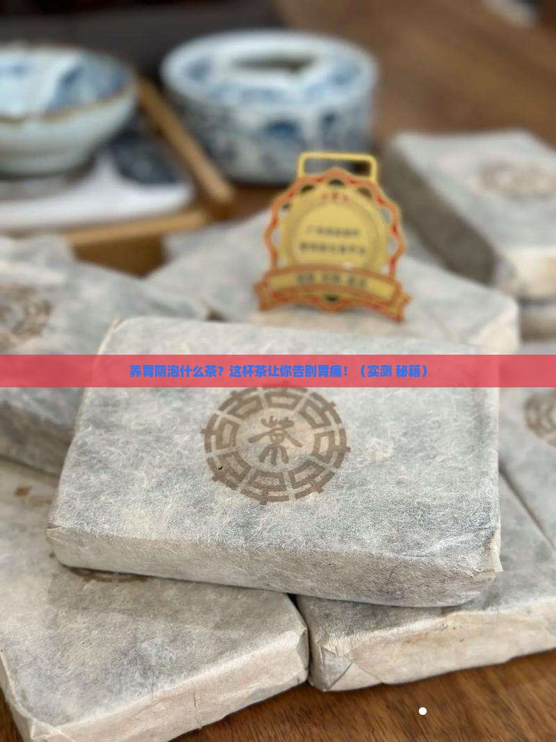 养胃阴泡什么茶