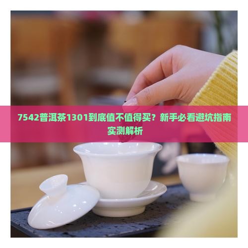 7542普洱茶1301