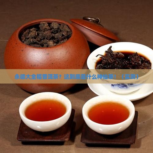 永德大全福普洱茶