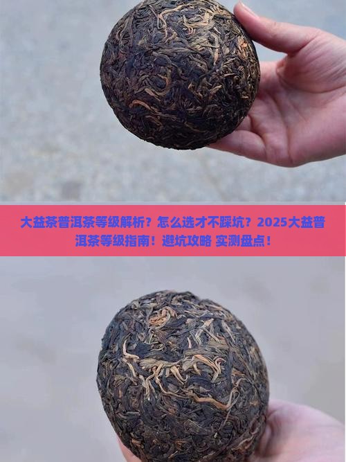大益茶普洱茶等级