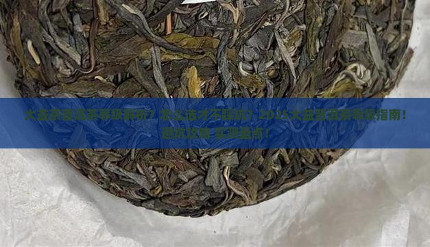 大益茶普洱茶等级
