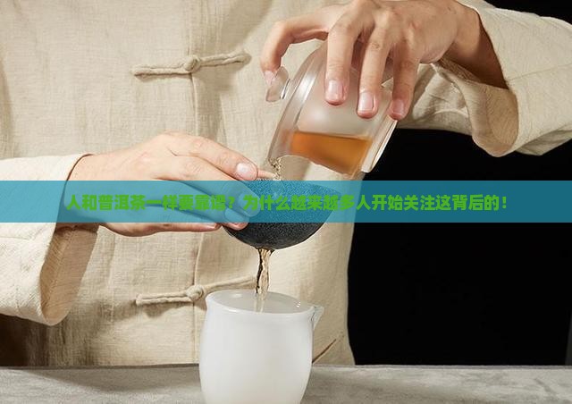 人和普洱茶一样要靠谱