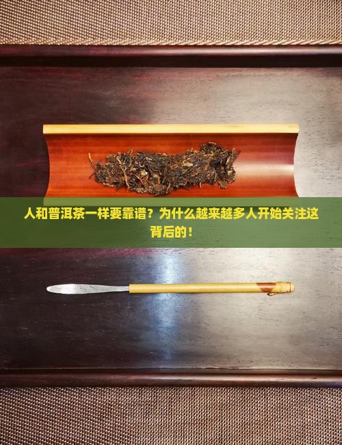 人和普洱茶一样要靠谱