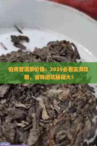 伯青普洱茶价钱