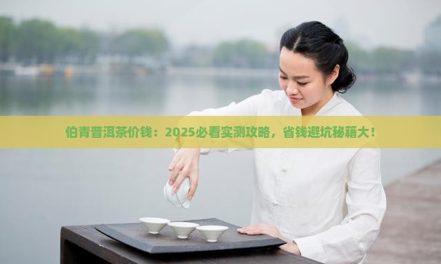伯青普洱茶价钱