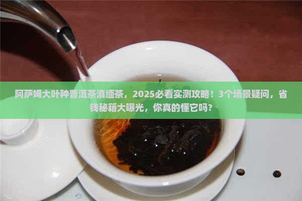 阿萨姆大叶种普洱茶滇缅茶