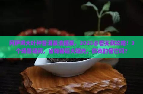 阿萨姆大叶种普洱茶滇缅茶