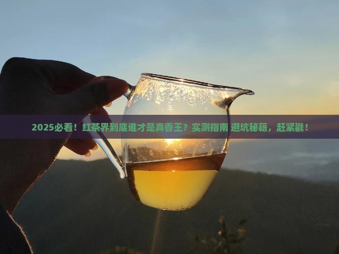 哪一种红茶比较好喝