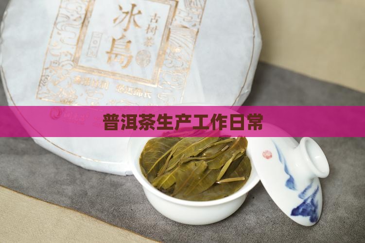 普洱茶工厂工作日常怎么样