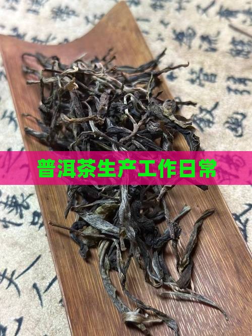 普洱茶工厂工作日常怎么样