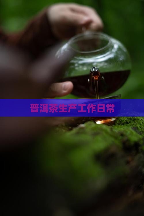 普洱茶工厂工作日常怎么样