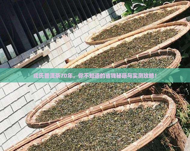 戎氏普洱茶70