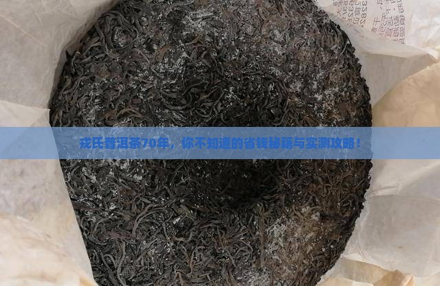 戎氏普洱茶70