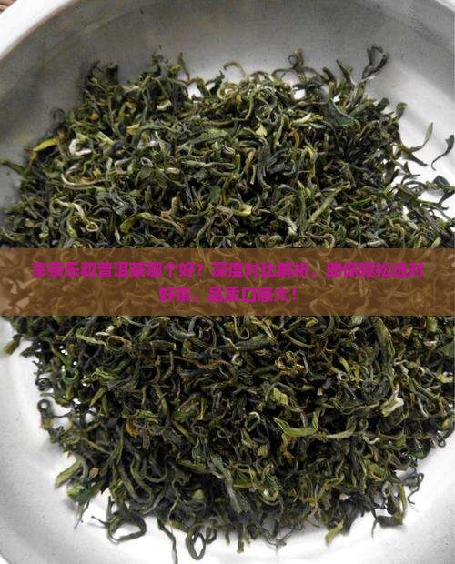 享茶乐和普洱茶哪个好