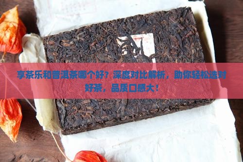 享茶乐和普洱茶哪个好