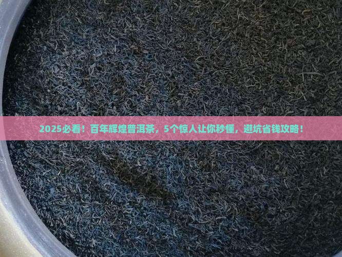 百年辉煌普洱茶