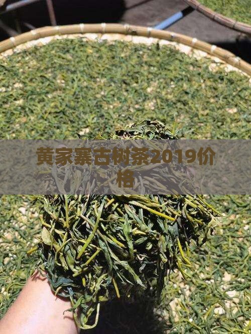 黄家寨古树茶2019价格