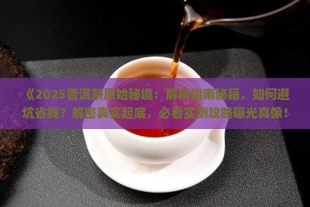 普洱茶原始秘境