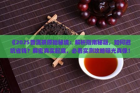 普洱茶原始秘境