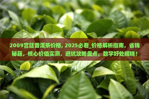 2009宫廷普洱茶价格