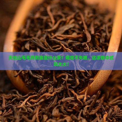 天柱山毛毛月是什么茶木语