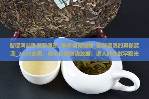 智德鸿昌卧龙普洱茶