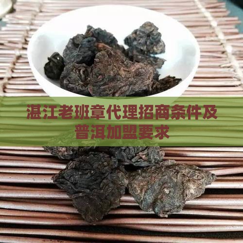 湛江老班章代理要什么条件