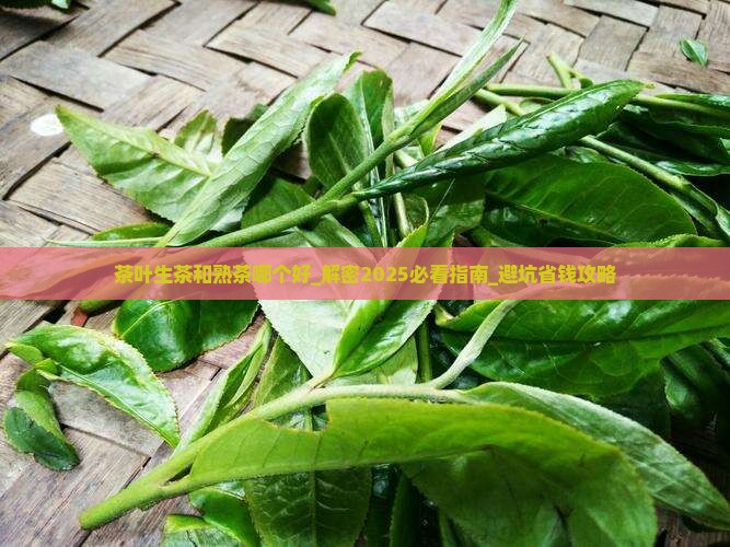 茶叶生茶和熟茶哪个好
