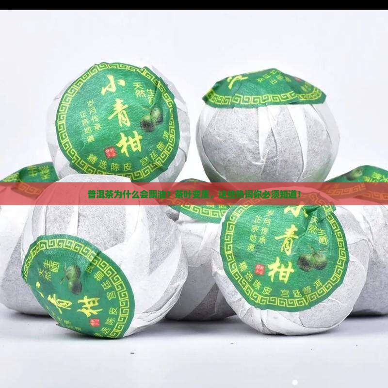 普洱茶为什么会飘油