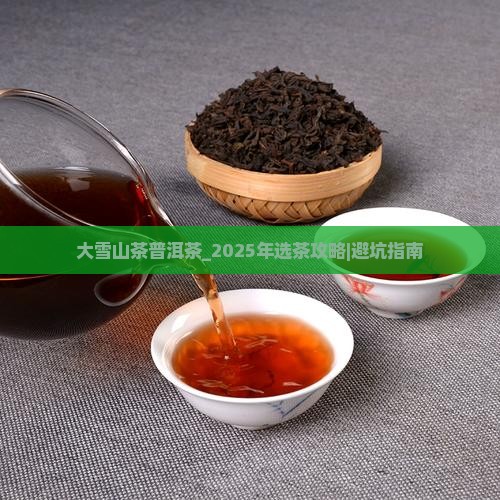 大雪山茶普洱茶
